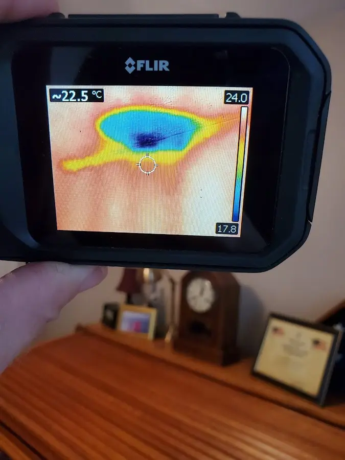 Thermal imaging inspection for water damage in Foster City